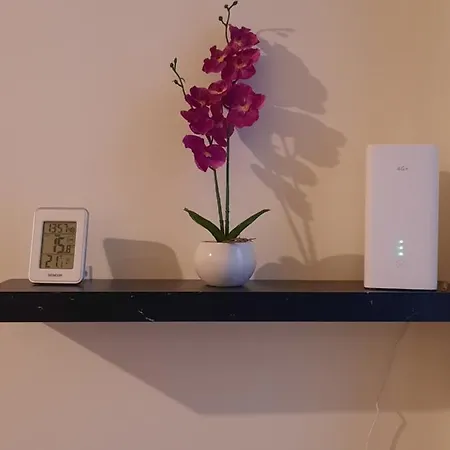 Apartment Angel Basilica *